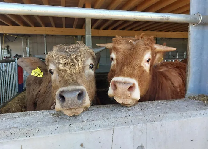 Sunmattehof トートナウ